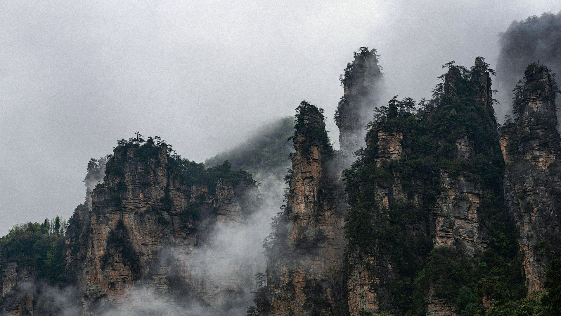 北京易杨国际旅行社有限公司驻马店第二网点 - 湖南张家界